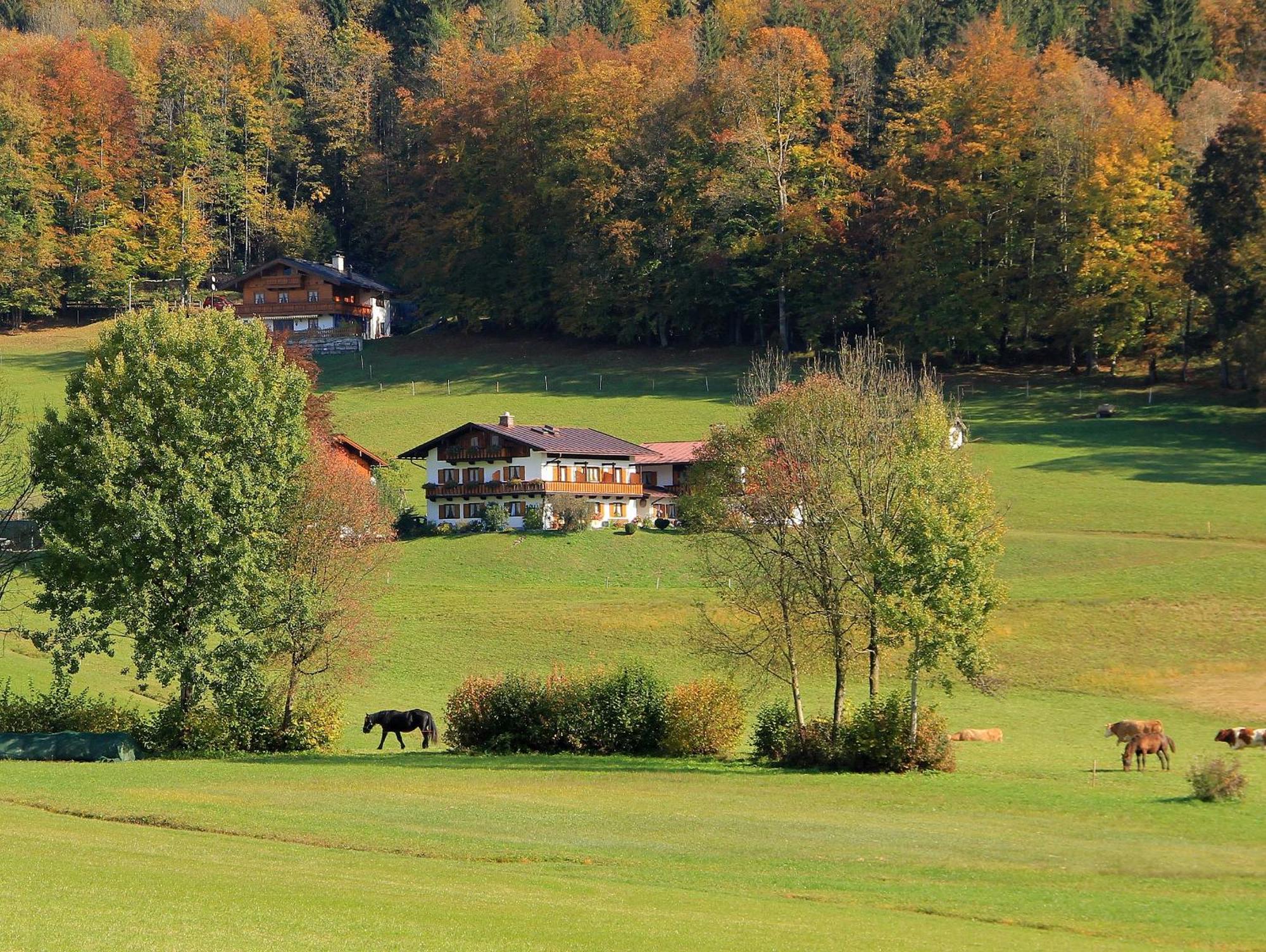 Obergoebllehen Apartamento Schönau am Königssee Exterior foto